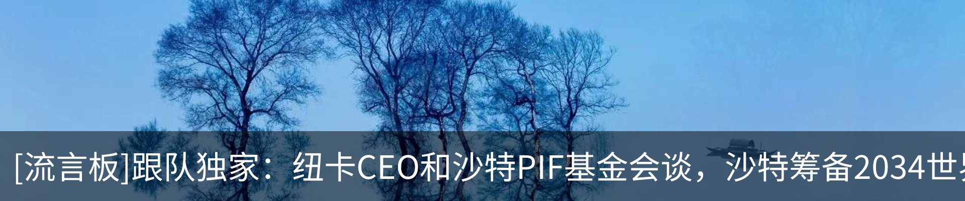 新闻动态